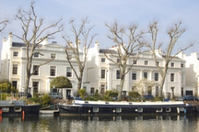 carpet cleaning Paddington
