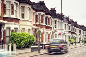 carpet cleaning SW4