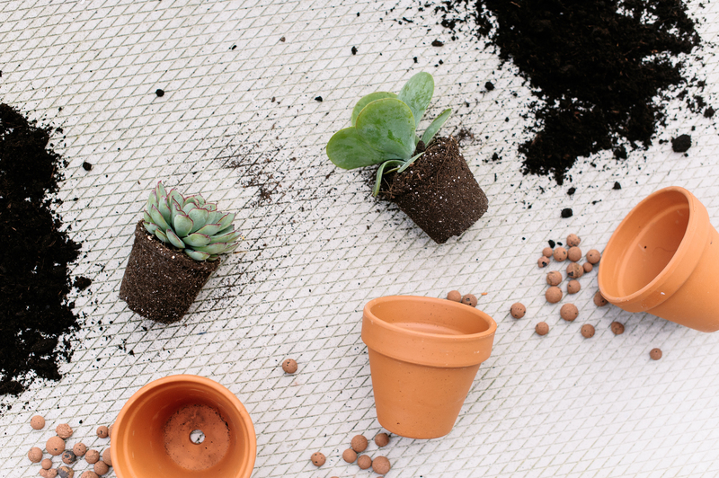 House cleaning deep cleaning